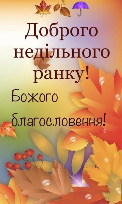 Доброго недільного ранку та гарного дня - картинки