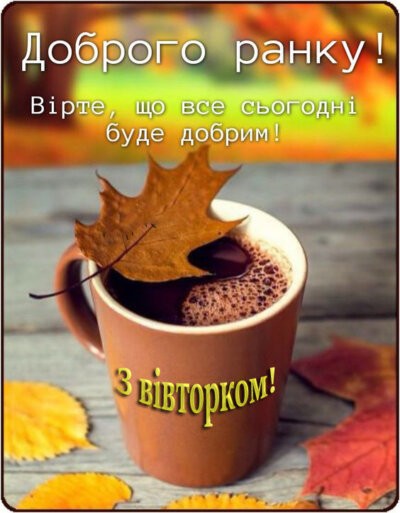 Картинки доброго ранку вівторка: красиві та смішні